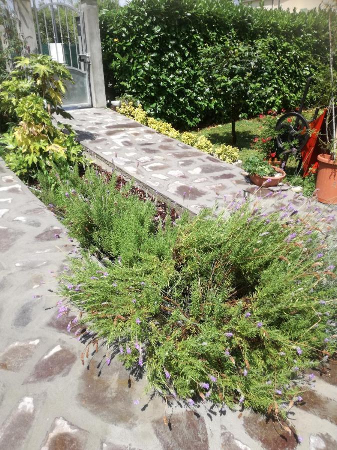 B&B La Damigiana Fioi Piano di Follo Exterior photo