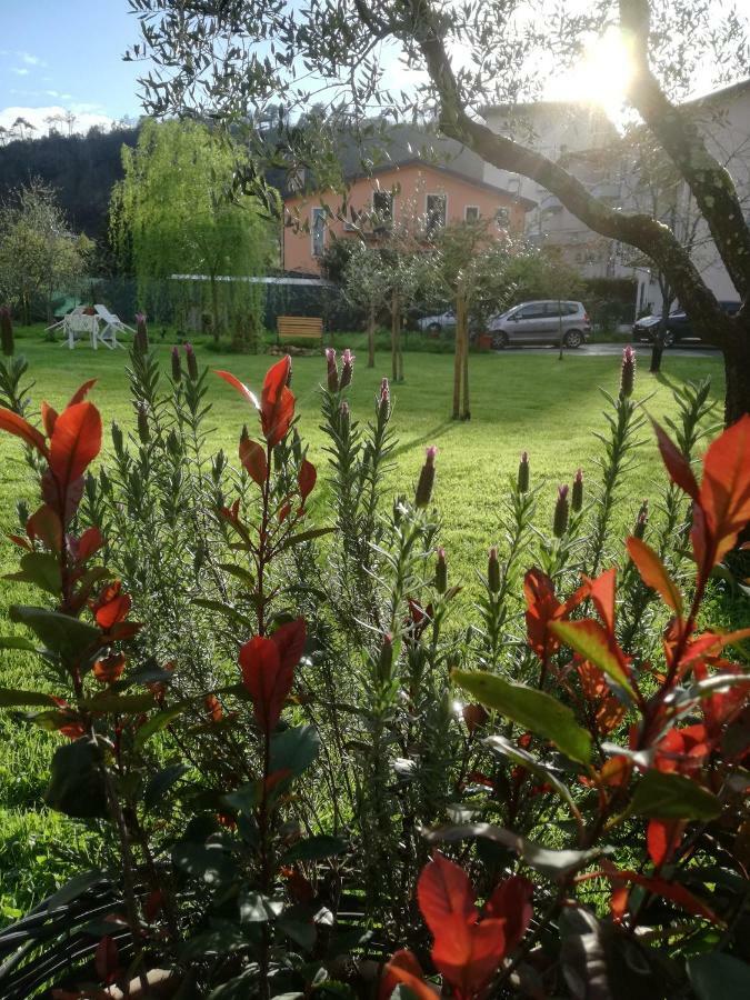 B&B La Damigiana Fioi Piano di Follo Exterior photo