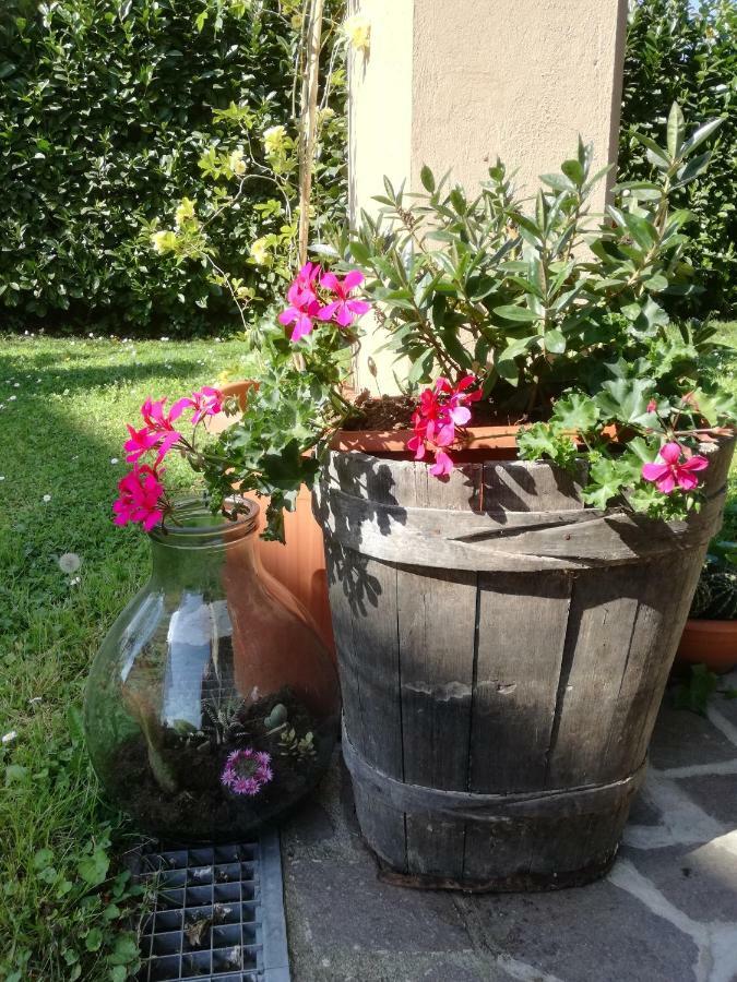 B&B La Damigiana Fioi Piano di Follo Exterior photo